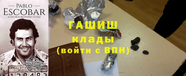 индика Абаза