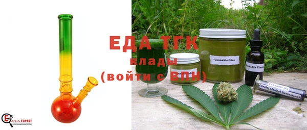 индика Абаза