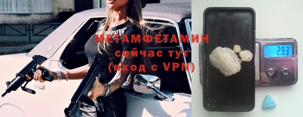 индика Абаза