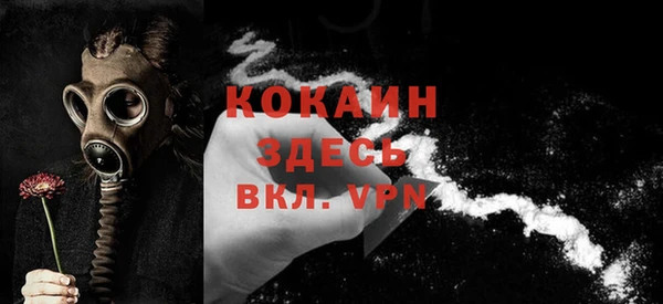 индика Абаза
