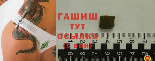 индика Абаза