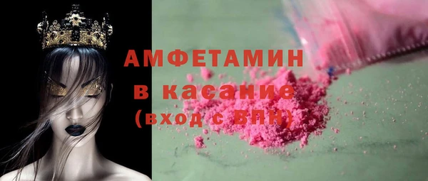 индика Абаза