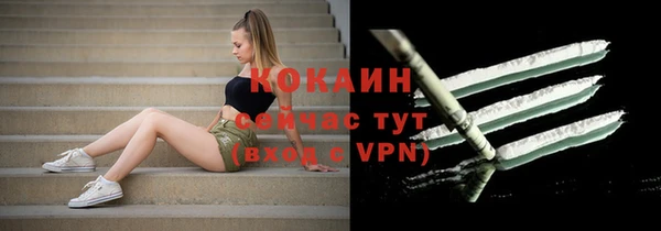 индика Абаза