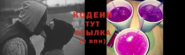 индика Абаза