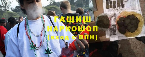 индика Абаза