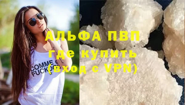 индика Абаза