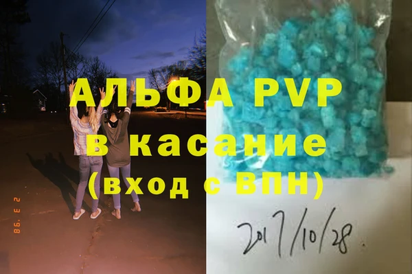 индика Абаза